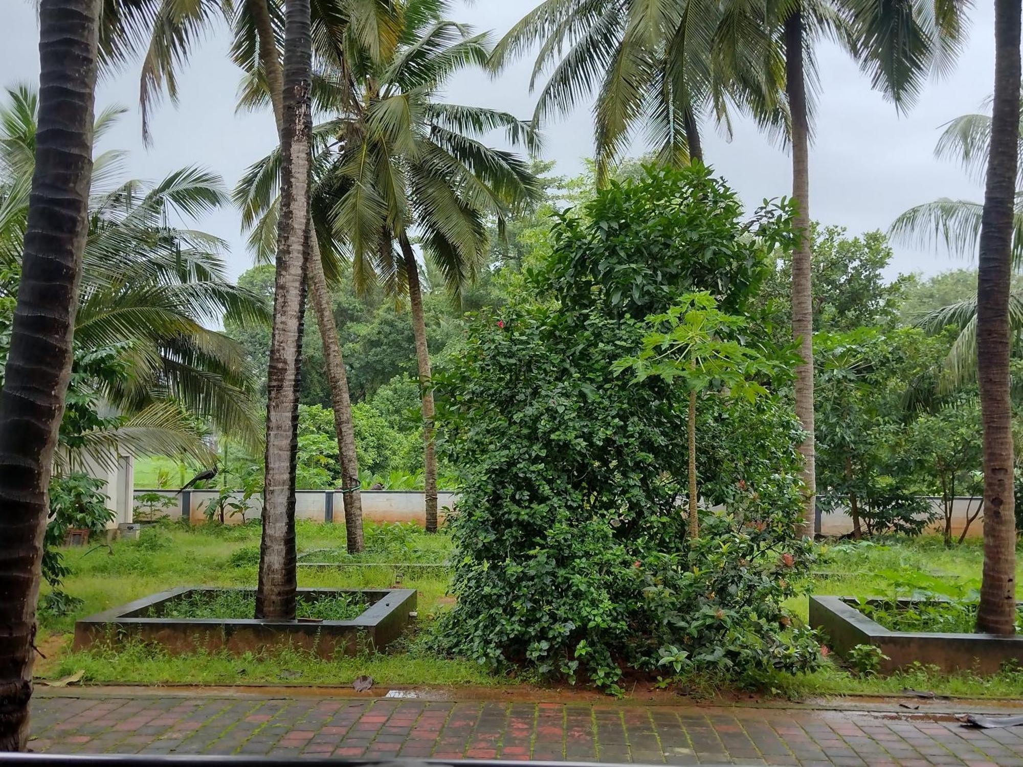Jayadurga Farms - An Eco-Friendly Homestay 우두피 외부 사진